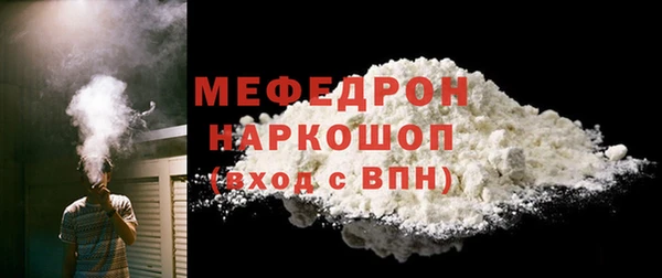 мдпв Богородицк