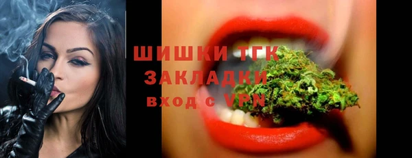 мдпв Богородицк