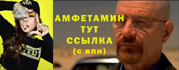 мдпв Богородицк
