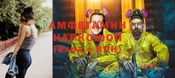индика Беломорск