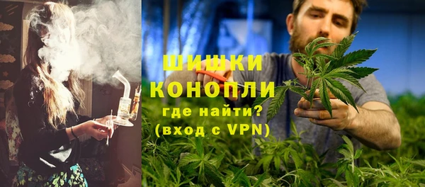 мдпв Богородицк
