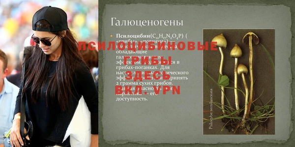 кокаин Богданович