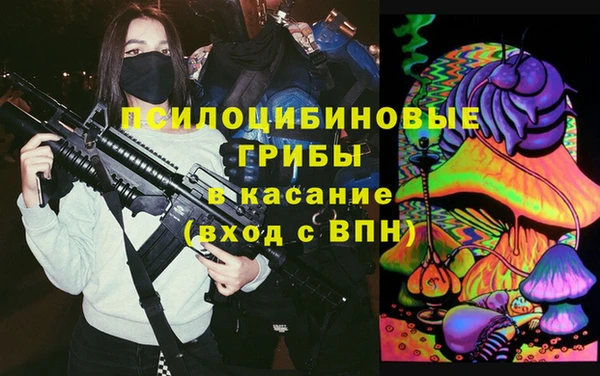 мдпв Богородицк